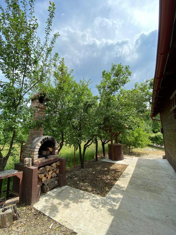 Ab'S Rustic Cabin Dejani エクステリア 写真