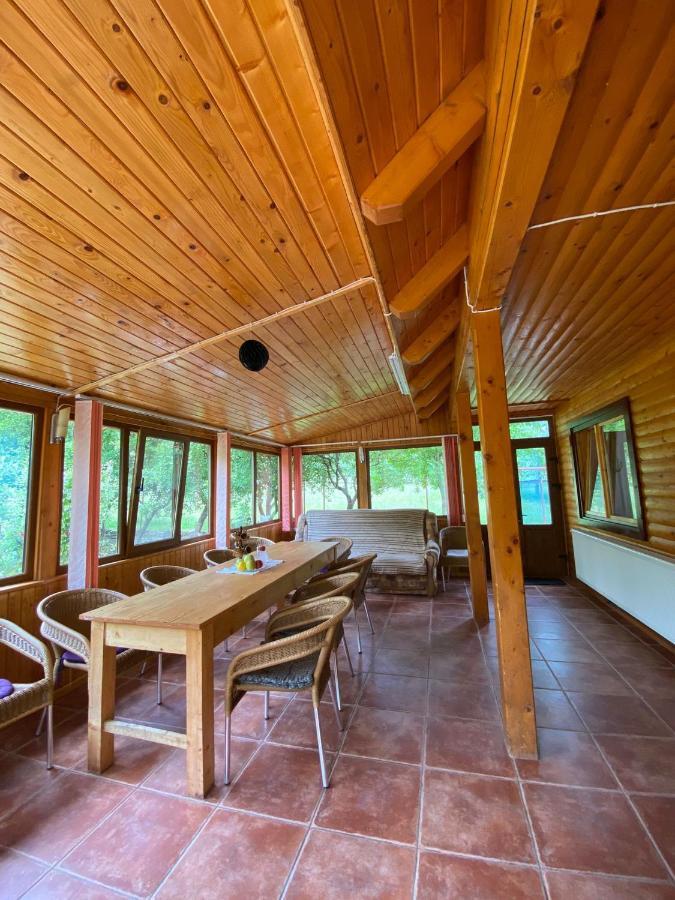 Ab'S Rustic Cabin Dejani エクステリア 写真