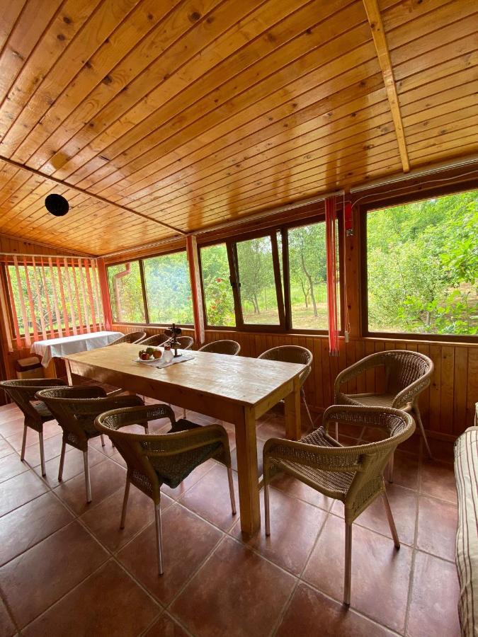 Ab'S Rustic Cabin Dejani エクステリア 写真